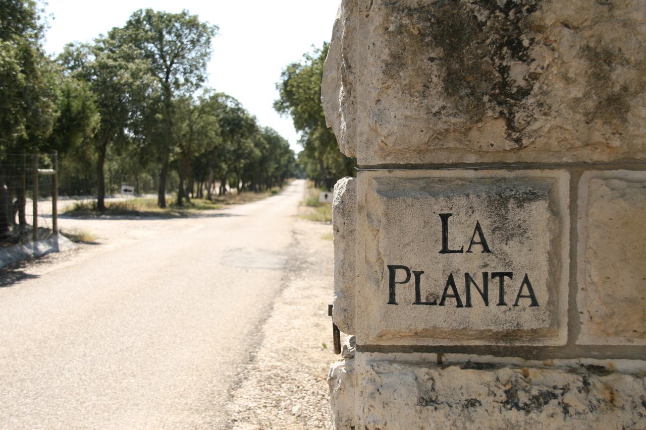 Hotel La Casita De La Planta Quintanilla de Onésimo Esterno foto